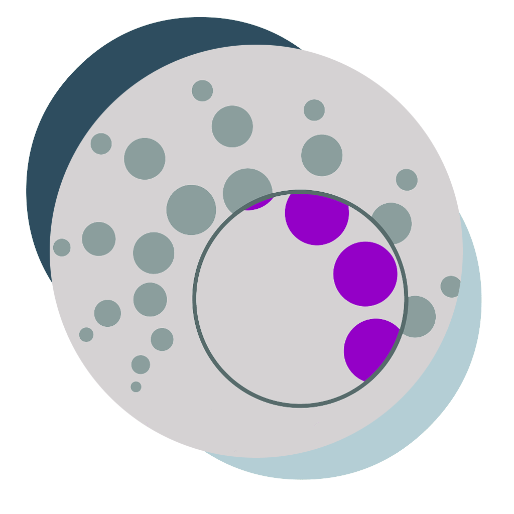 مجوز نانو مقیاس